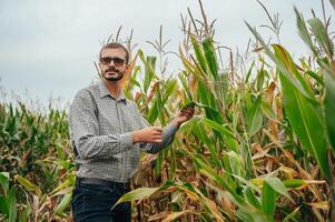 Agronomist holds tablet touch pad computer in the corn field and examining crops before harvesting. Agribusiness concept. agricultural engineer standing in a corn field with a tablet. photo