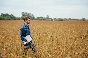 Agronomist holds tablet touch pad computer in the soy field and examining crops before harvesting. Agribusiness concept. agricultural engineer standing in a soy field with a tablet. photo