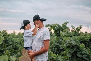 hermosa joven sonriente familia chico y padre teniendo divertido a un viñedo foto