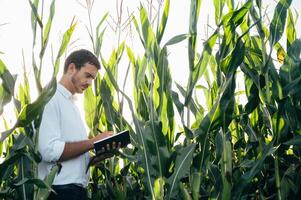 Agronomist holds tablet touch pad computer in the corn field and examining crops before harvesting. Agribusiness concept. agricultural engineer standing in a corn field with a tablet in summer. photo