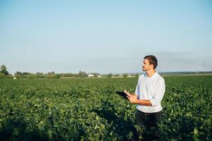 Agronomist holds tablet touch pad computer in the soy field and examining crops before harvesting. Agribusiness concept. agricultural engineer standing in a soy field with a tablet in summer. photo