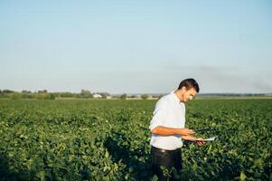Agronomist holds tablet touch pad computer in the soy field and examining crops before harvesting. Agribusiness concept. agricultural engineer standing in a soy field with a tablet in summer. photo