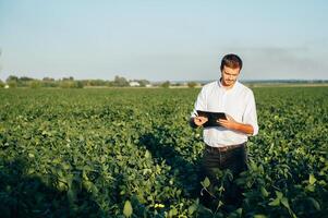 Agronomist holds tablet touch pad computer in the soy field and examining crops before harvesting. Agribusiness concept. agricultural engineer standing in a soy field with a tablet in summer. photo