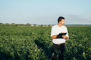 Agronomist holds tablet touch pad computer in the soy field and examining crops before harvesting. Agribusiness concept. agricultural engineer standing in a soy field with a tablet in summer. photo
