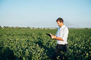 Agronomist holds tablet touch pad computer in the soy field and examining crops before harvesting. Agribusiness concept. agricultural engineer standing in a soy field with a tablet in summer. photo