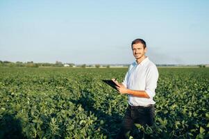 Agronomist holds tablet touch pad computer in the soy field and examining crops before harvesting. Agribusiness concept. agricultural engineer standing in a soy field with a tablet in summer. photo