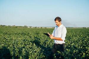 Agronomist holds tablet touch pad computer in the soy field and examining crops before harvesting. Agribusiness concept. agricultural engineer standing in a soy field with a tablet in summer. photo