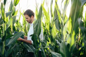 Agronomist holds tablet touch pad computer in the corn field and examining crops before harvesting. Agribusiness concept. agricultural engineer standing in a corn field with a tablet in summer. photo