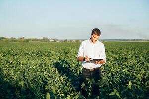 Agronomist holds tablet touch pad computer in the soy field and examining crops before harvesting. Agribusiness concept. agricultural engineer standing in a soy field with a tablet in summer. photo