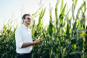 Agronomist holds tablet touch pad computer in the corn field and examining crops before harvesting. Agribusiness concept. agricultural engineer standing in a corn field with a tablet in summer. photo