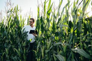 Agronomist holds tablet touch pad computer in the corn field and examining crops before harvesting. Agribusiness concept. agricultural engineer standing in a corn field with a tablet in summer. photo