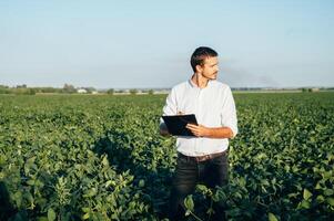 Agronomist holds tablet touch pad computer in the soy field and examining crops before harvesting. Agribusiness concept. agricultural engineer standing in a soy field with a tablet in summer. photo