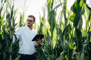 Agronomist holds tablet touch pad computer in the corn field and examining crops before harvesting. Agribusiness concept. agricultural engineer standing in a corn field with a tablet in summer. photo