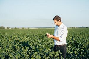 Agronomist holds tablet touch pad computer in the soy field and examining crops before harvesting. Agribusiness concept. agricultural engineer standing in a soy field with a tablet in summer. photo