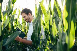 Agronomist holds tablet touch pad computer in the corn field and examining crops before harvesting. Agribusiness concept. agricultural engineer standing in a corn field with a tablet in summer. photo