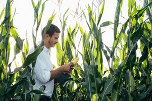Agronomist holds tablet touch pad computer in the corn field and examining crops before harvesting. Agribusiness concept. agricultural engineer standing in a corn field with a tablet in summer. photo