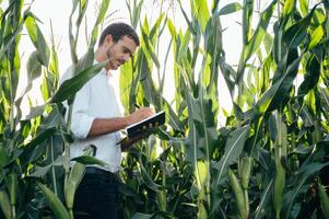 Agronomist holds tablet touch pad computer in the corn field and examining crops before harvesting. Agribusiness concept. agricultural engineer standing in a corn field with a tablet in summer. photo