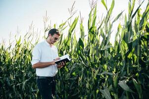Agronomist holds tablet touch pad computer in the corn field and examining crops before harvesting. Agribusiness concept. agricultural engineer standing in a corn field with a tablet in summer. photo