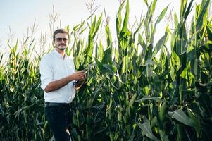 Agronomist holds tablet touch pad computer in the corn field and examining crops before harvesting. Agribusiness concept. agricultural engineer standing in a corn field with a tablet in summer. photo