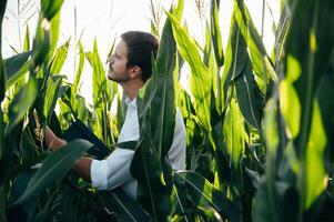 Agronomist holds tablet touch pad computer in the corn field and examining crops before harvesting. Agribusiness concept. agricultural engineer standing in a corn field with a tablet in summer. photo