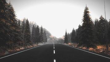 Highway,Road, natural landscape animated background footage video