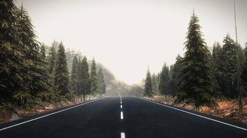 autostrada, strada, naturale paesaggio animato sfondo metraggio video