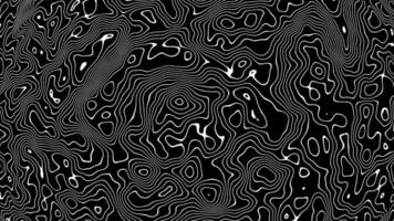 loop random abstract background animation video