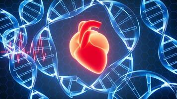 Human heart with circular DNA background, biotechnology concept, 3d rendering. video