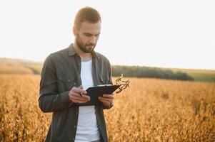 Agronomist inspecting soya bean crops growing in the farm field. Agriculture production concept. young agronomist examines soybean crop on field in summer. Farmer on soybean field. photo