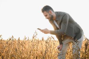 granjero agrónomo en un haba de soja campo. agrícola industria. foto