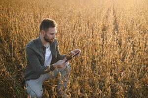 granjero o agrónomo en haba de soja campo examinando cosecha a puesta de sol foto