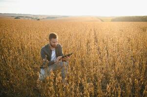 granjero agrónomo en un haba de soja campo. agrícola industria. foto