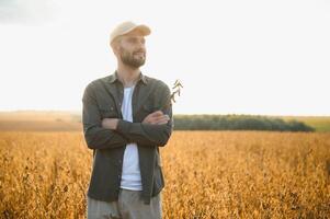 Farmer agronomist on a soybean field. Agricultural industry. photo