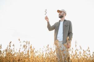 Farmer standing in soybean field at sunset. photo