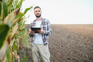 A male farmer or agronomist is working in a corn field. The concept of agriculture photo