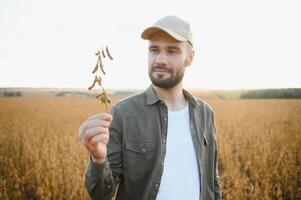 retrato de granjero en pie en haba de soja campo a puesta de sol. foto