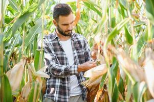 Yong handsome agronomist in the corn field and examining crops before harvesting. Agribusiness concept. agricultural engineer standing in a corn field photo