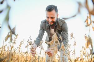 Agronomist inspecting soya bean crops growing in the farm field. Agriculture production concept. young agronomist examines soybean crop on field in summer. Farmer on soybean field. photo