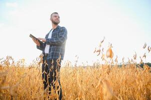 Young agronomist holds tablet touch pad computer in the soy field and examining crops before harvesting. Agribusiness concept. agricultural engineer standing in a soy field with a tablet. photo