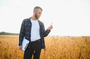 farmer agronomist in soybean field checking crops. Organic food production and cultivation photo