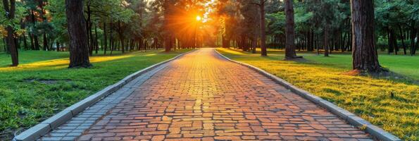 Sunlight filters through green leaves of trees in a park photo