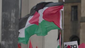 Manchester, uk, maart 23, 2024 - demonstratie eer de kinderen van Gaza Bij st. peter's plein video