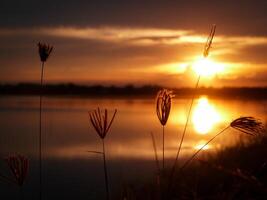 Spectacular sunset over, orange sun rising up over the horizon photo