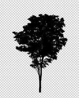 Tree silhouette on transparent background with clipping path and alpha photo