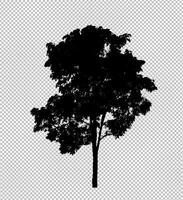 Tree silhouette on transparent background with clipping path and alpha photo