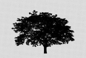 Tree silhouette on transparent background with clipping path and alpha photo