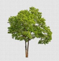 Tree on transparent background with clipping path, single tree with clipping path and alpha channel photo