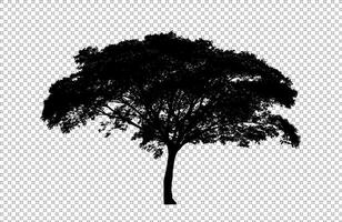 Tree silhouette on transparent background with clipping path and alpha photo