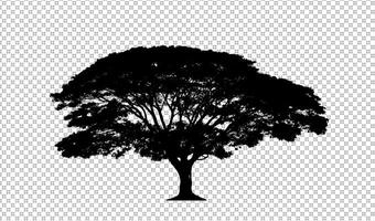 Tree silhouette on transparent background with clipping path and alpha photo