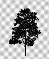 Tree silhouette on transparent background with clipping path and alpha photo